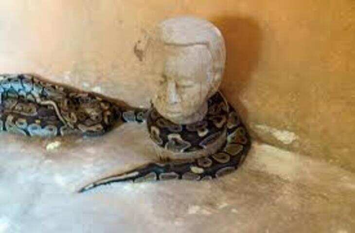 Snake Temple: बेनिन का अनोखा मंदिर, जहां सांपों को मिलता है विशेष सम्मान