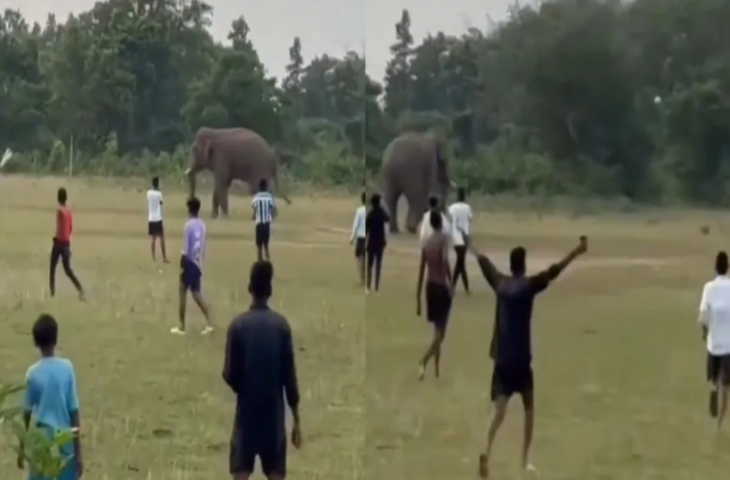 मैदान में फुटबॉल खेल रहे थे बच्चे, तभी आ गया जंगली हाथी, फिर जो हुआ देखकर रह जाएंगे हैरान