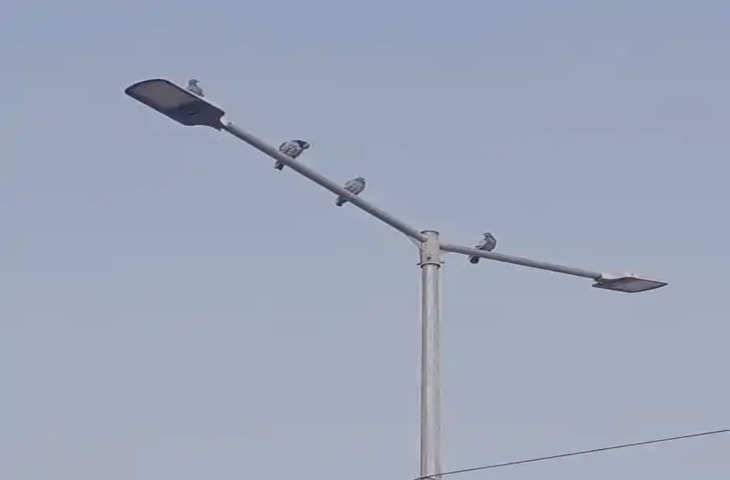 Alwar रोड लाइट जलाना व खड़ी कार की पेट्रोल चोरी : एक माह से हो रही एलईडी लाइटें