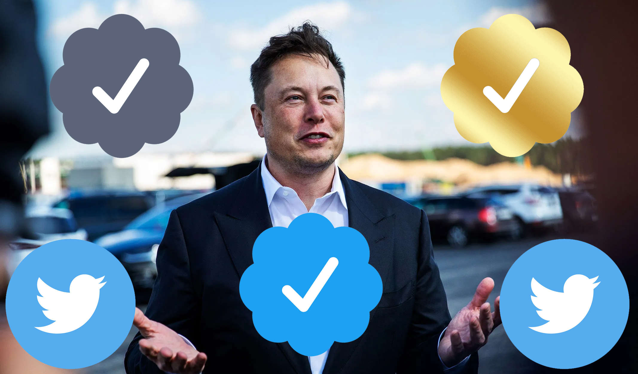 Elon Musks New Plan Not Only Blue On Twitter Now Verification Badge Will Also Be Available In 0689