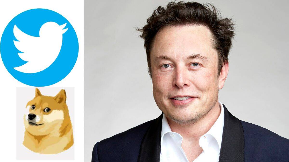 Elon Musk changed Twitter's blue-bird logo, replaced it with a picture ...